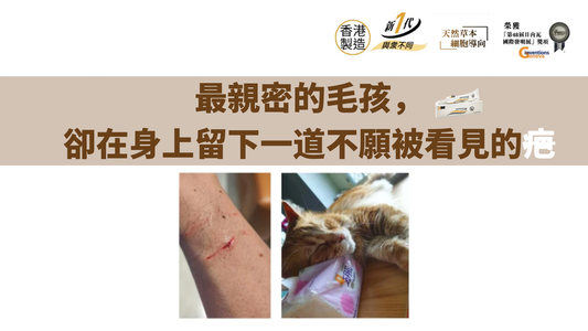 最親密的毛孩，卻在身上留下一道不願被看見的疤